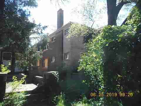 8732 Dexter (4)_m.jpg